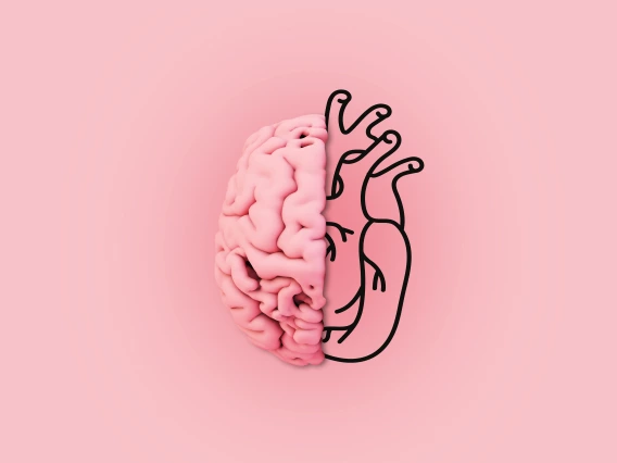 structure of the mind graphic with a half a brain and half a heart